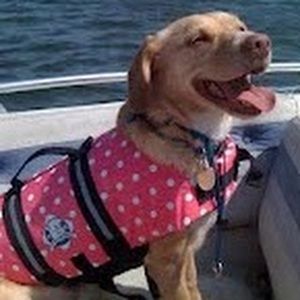 Meet your Posher, Jen